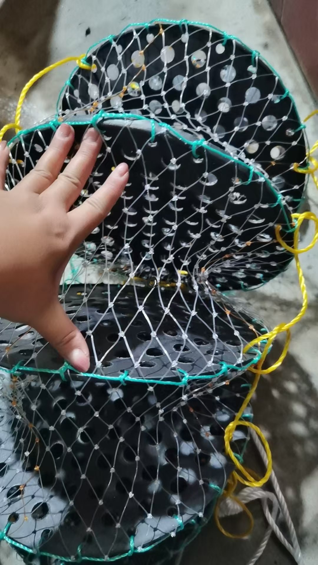 單絲網(wǎng)生蠔籠 白膠絲網(wǎng)生蠔養(yǎng)殖籠